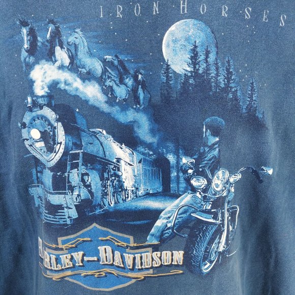 Vintage 1990s Harley Davidson Iron Horses T Shirt Train Polar Bear Eagle Alaska - Picture 3 of 6